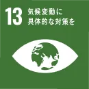 SDGsGoal-13